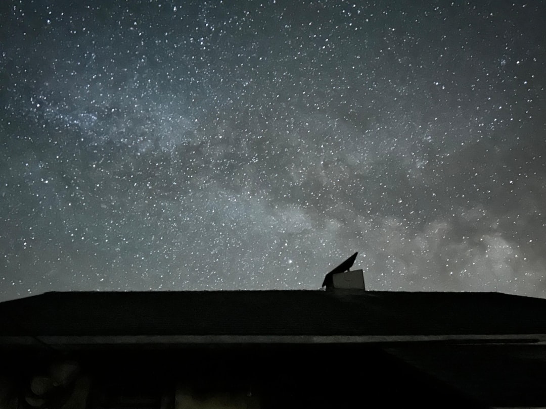 The Enigmatic Feline: Unraveling the Meanings of Cat Dreams