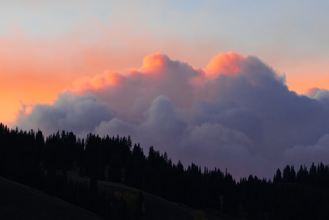 Dreaming of Rain: Unlocking the Emotional and Spiritual Downpour