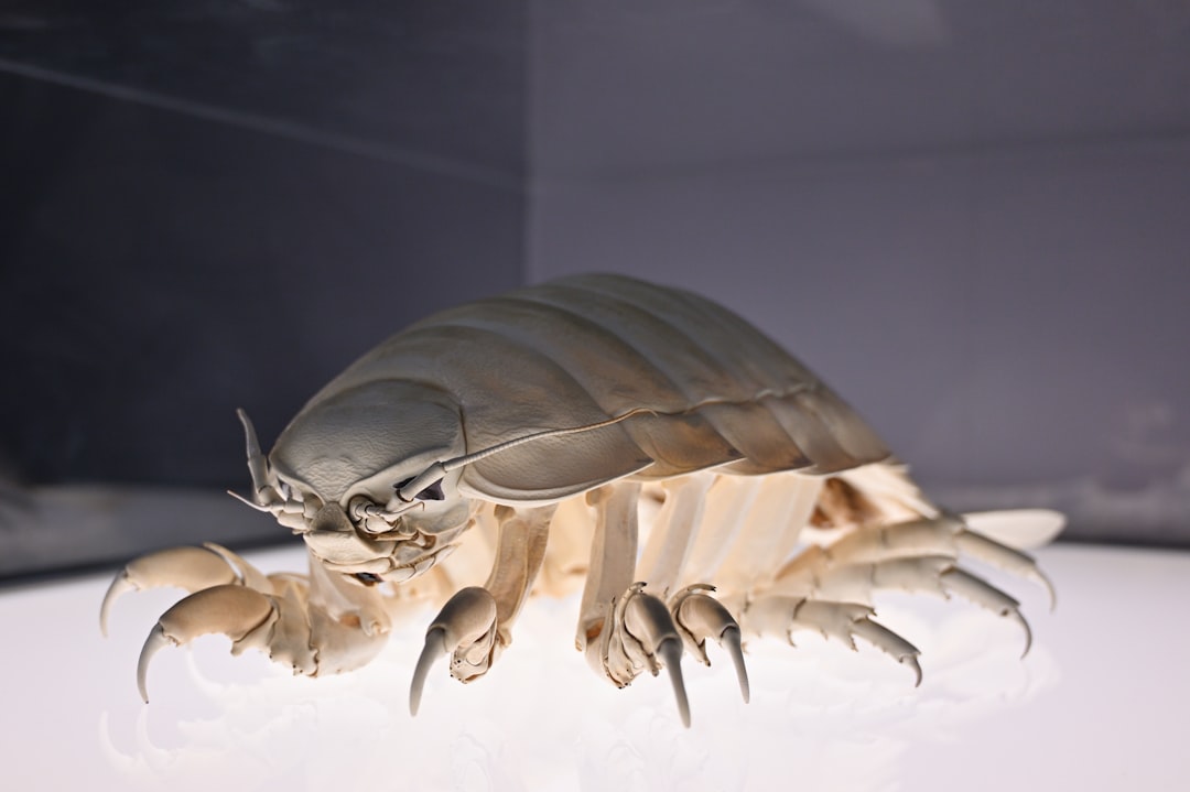 Cockroach Dreams: Unveiling Your Inner Resilience and Hidden Fears