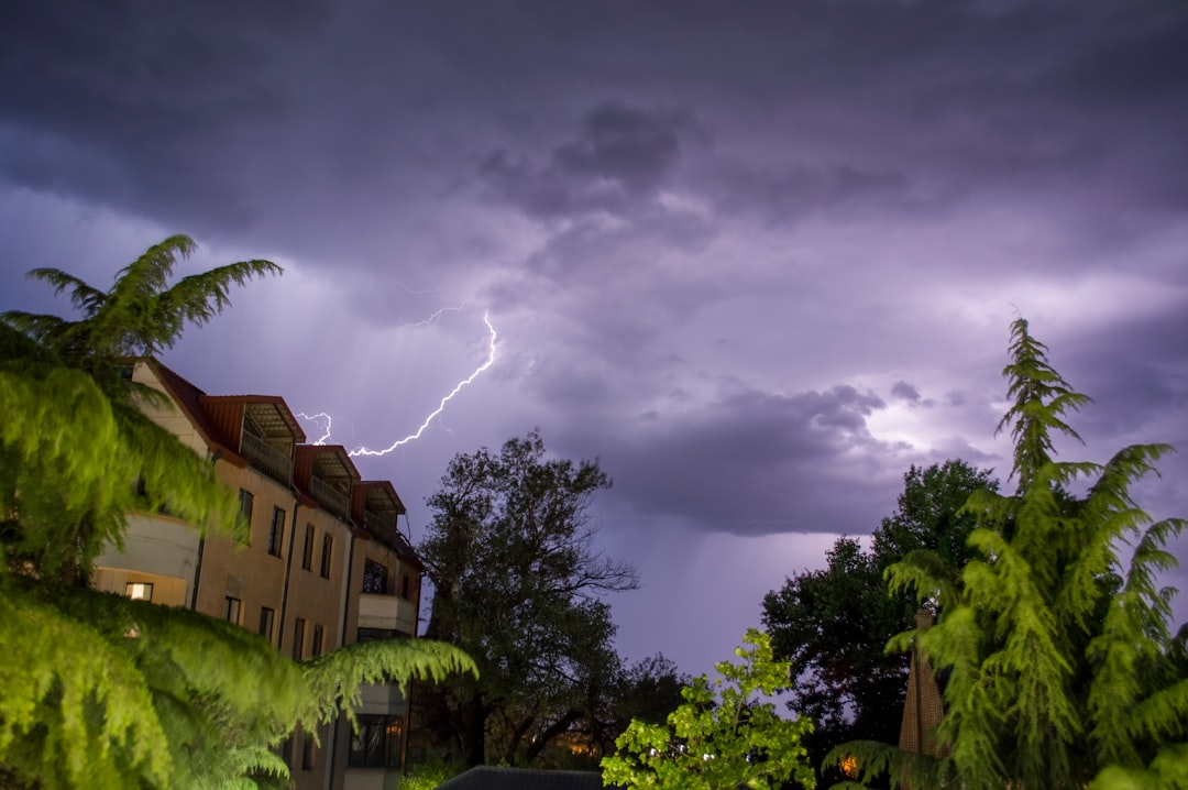 Lightning Dreams: Decoding the Flash of Insight, Fury, and Transformation