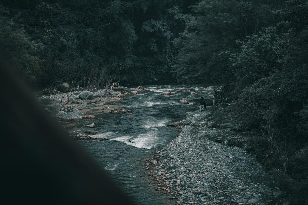 Dreaming of Rivers: Navigating the Currents of Your Unconscious