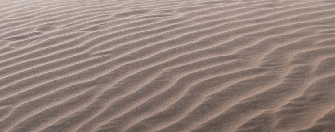Dreaming of the Sand Desert: Unearthing Your Inner Landscape