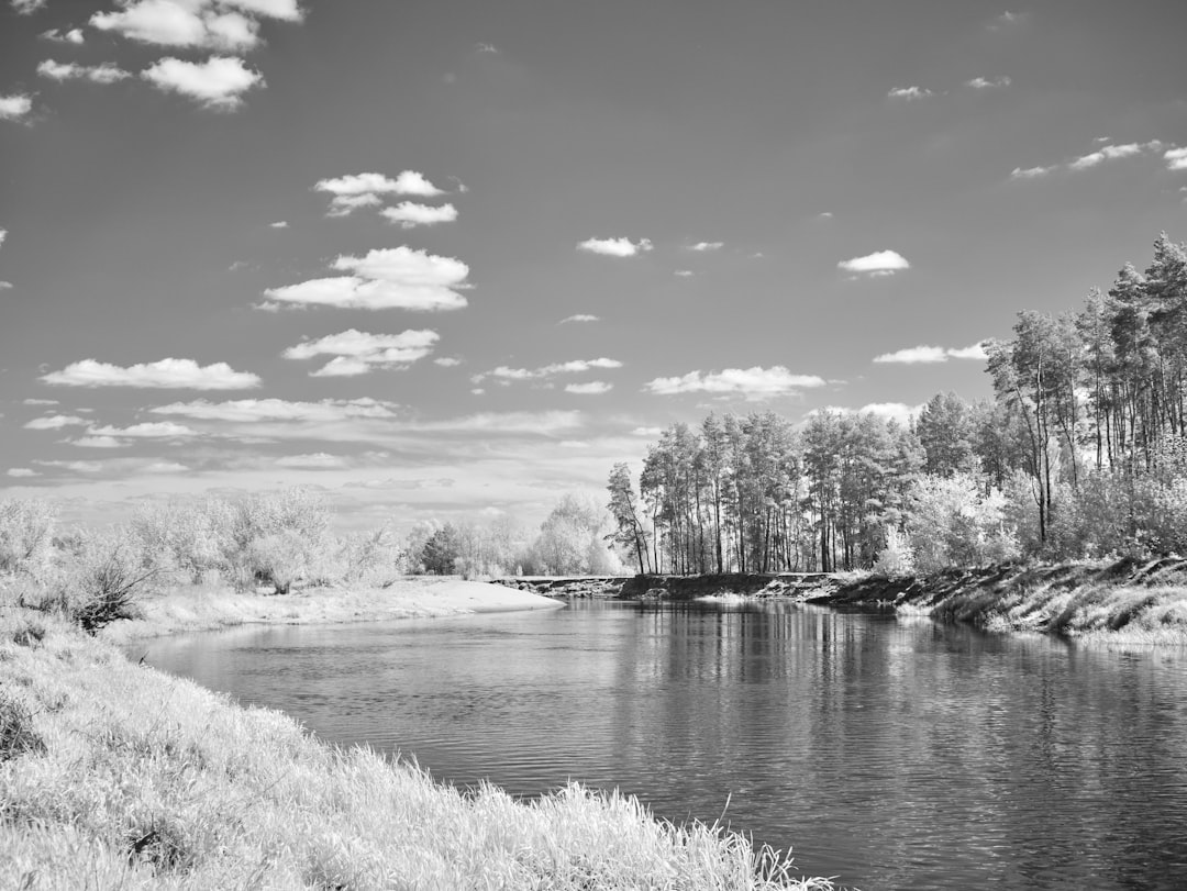 Dreaming of Spring Water: A Deep Dive into Purity, Renewal, and Unconscious Currents
