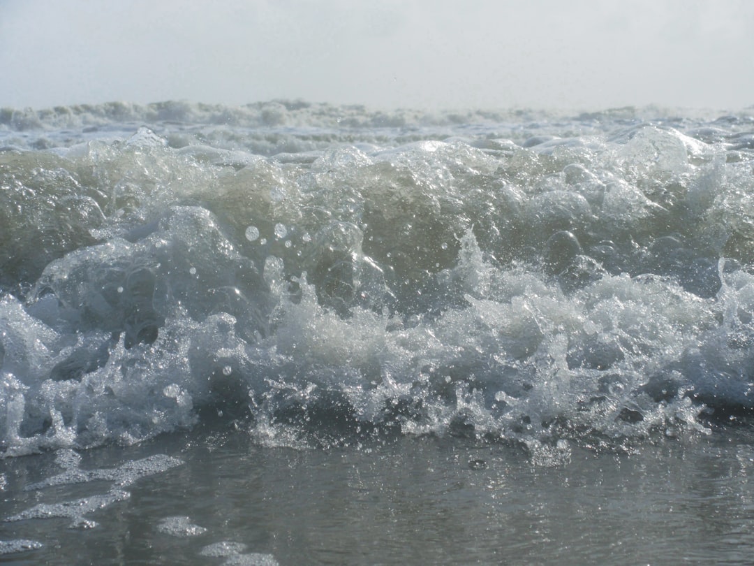 The Ebb and Flow of Your Soul: Decoding the Tide in Your Dreams