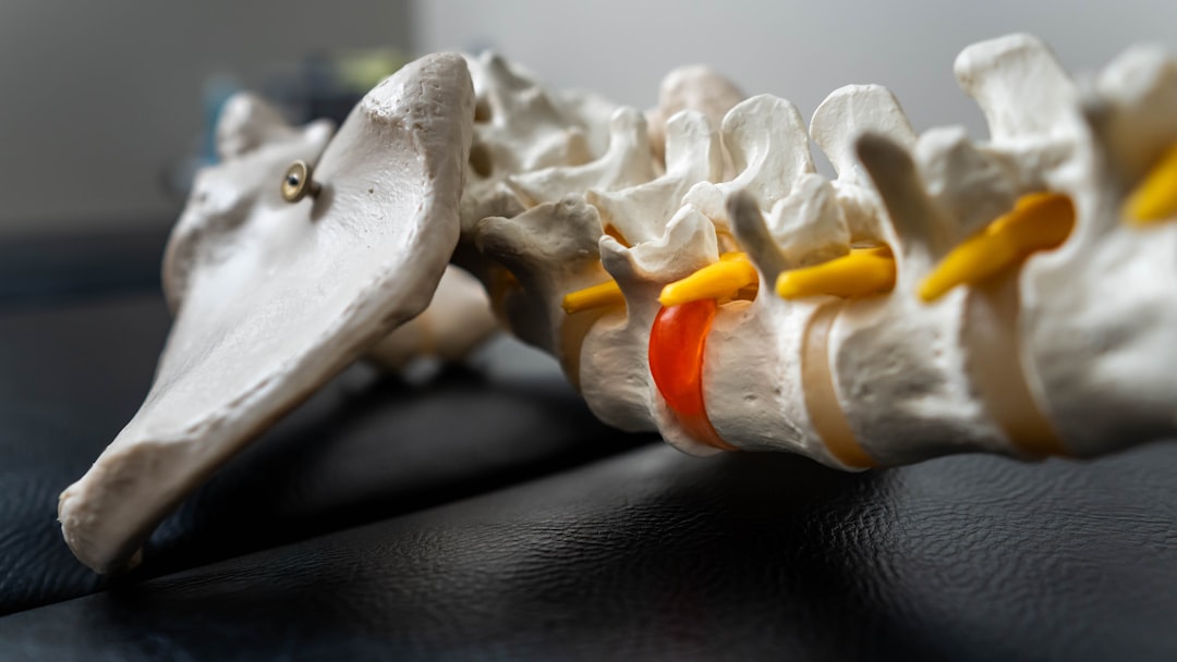 Dreaming of Your Back: Unpacking Hidden Support, Past Burdens, and Future Paths