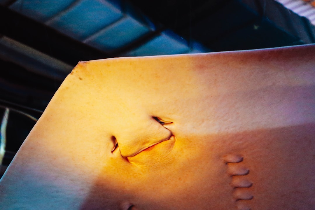 Unveiling the Scars: A Deep Dive into Your Dream Symbolism