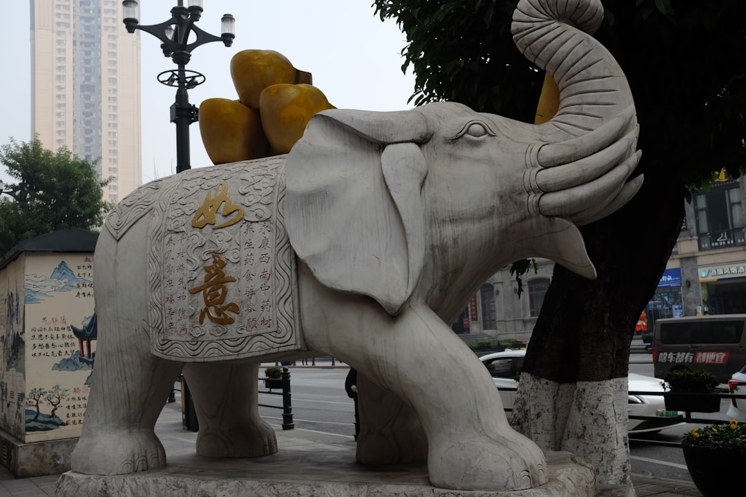 Dreaming of Gold Bars: Unlocking Your Hidden Wealth and Potential