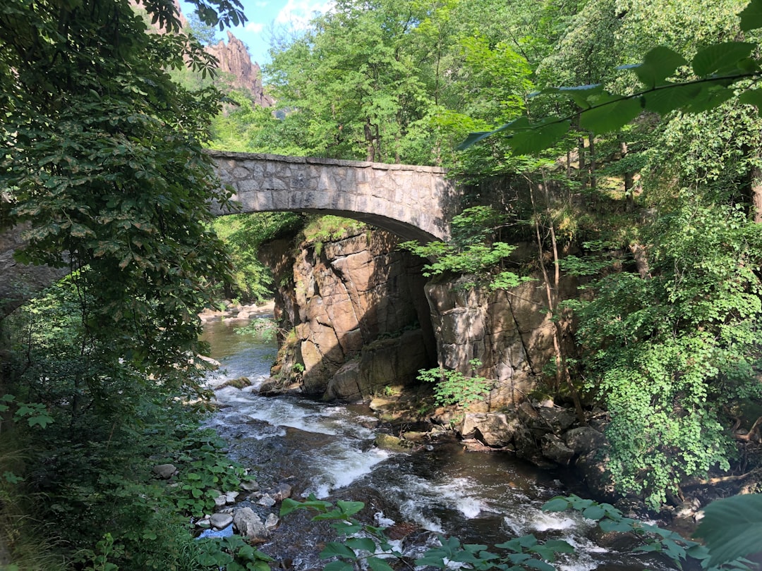 Dreaming of Bridges: Connecting Worlds, Crossing Transitions