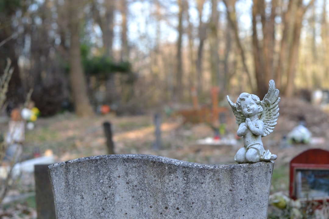 Dreaming of Graveyards: Unearthing Your Past, Embracing Your Future