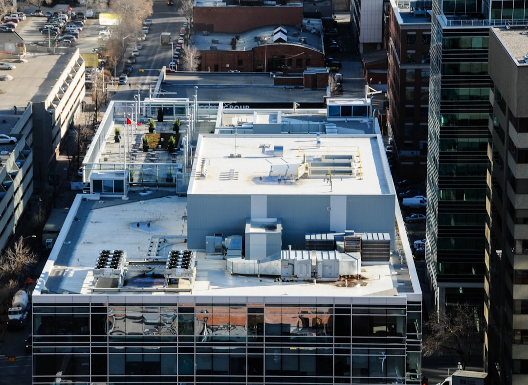 Dreaming of Rooftops: Ascending to New Perspectives and Unseen Truths