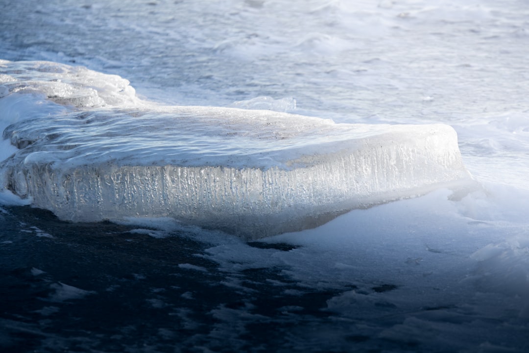 The Wisdom of the Walrus: Unpacking Your Subconscious Depths