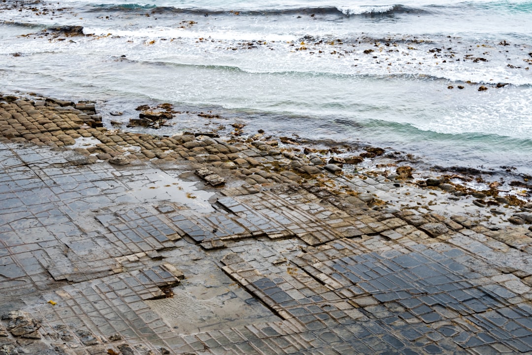 The Neck in Your Dreams: A Deep Dive into Symbolism, Psychology, and Spirituality